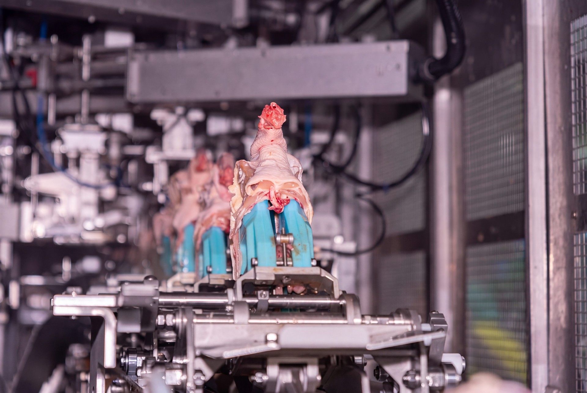 1785491277490070.jpg By-product Scraper Conveyor Systems.jpg